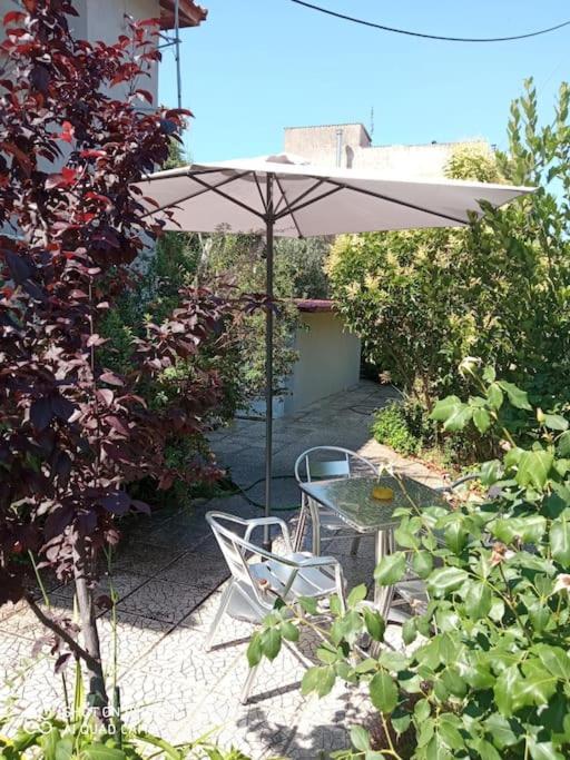 Anadora 2: Hospitable Stone House With Yard Apartment Alexandroupoli Bagian luar foto