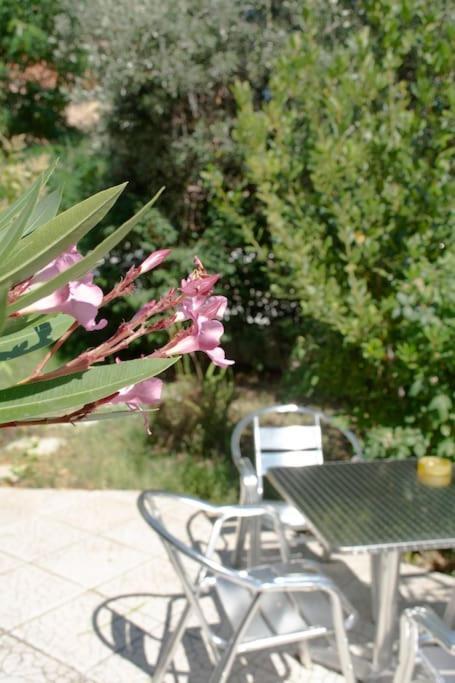 Anadora 2: Hospitable Stone House With Yard Apartment Alexandroupoli Bagian luar foto