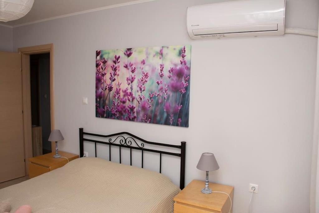 Anadora 2: Hospitable Stone House With Yard Apartment Alexandroupoli Bagian luar foto