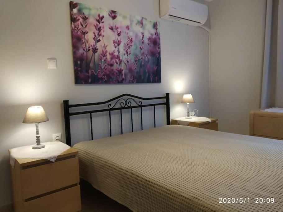 Anadora 2: Hospitable Stone House With Yard Apartment Alexandroupoli Bagian luar foto
