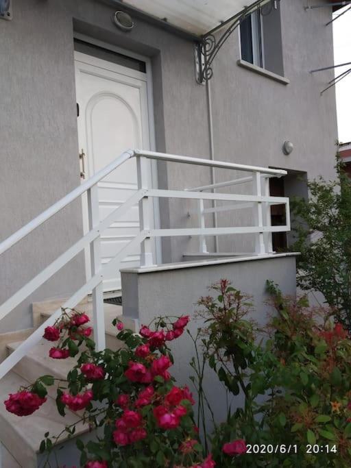 Anadora 2: Hospitable Stone House With Yard Apartment Alexandroupoli Bagian luar foto